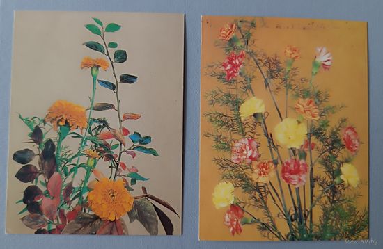 Цветы. Мини-открытки, чистые, 1983, 1985г.