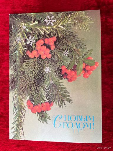 С Новым годом! Подписана. 1987 год. И. Дергилева.