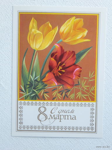 Коновалова 8 марта 1986  10х15 см