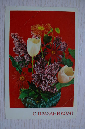 Баранников В., С праздником! 1977, подписана (размер 9*14).