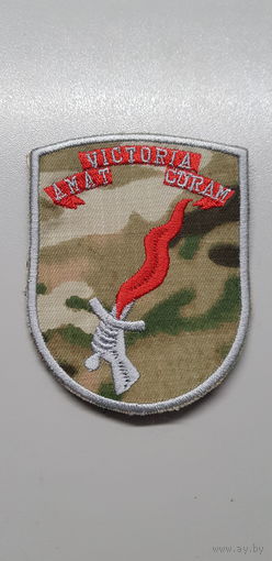 Шеврон 33 отдельный отряд специального назначения ССО Беларусь