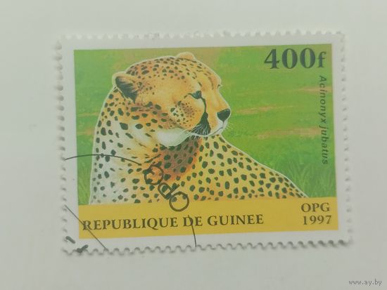 Гвинея 1997. Млекопитающие