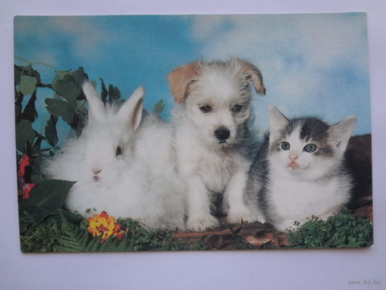 Календарик 1996 г. Крольчонок, щенок и котенок.