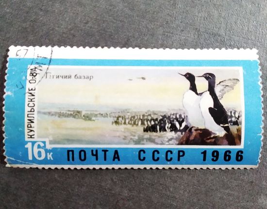 Марка СССР 1966 год Дальний Восток