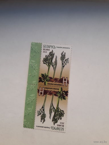 Марки Беларусь 2013 растение