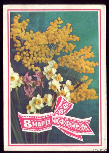 1975 год Г.Костенко 8 марта
