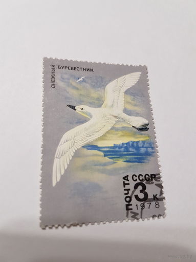 Марка СССР 1978 г. ,,Снежный Буревестник''.