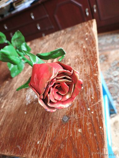 Роза железная для дома дачи