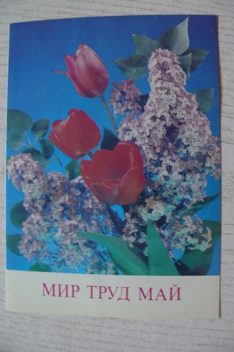 Дергилев И., Мир. Труд. Май; 1990, 1991, чистая.