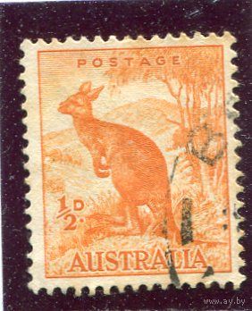 Австралия. Стандарт. Фауна. Большой рыжий кенгуру