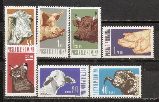 ФФ1 Румыния 1962 Животноводство
