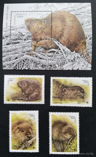 Марки. Беларусь. 0154.Блок + 4 марки. 1995-96 г.