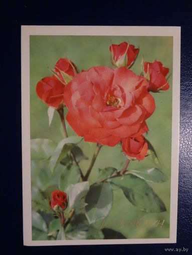 Поздравляю! Розы. 1974 г. подписанная.