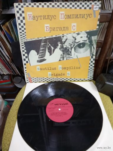 Наутилус Помпилиус Брига С