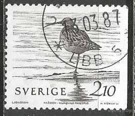 Швеция. Средний кроншнеп. 1986г. Mi#1377.