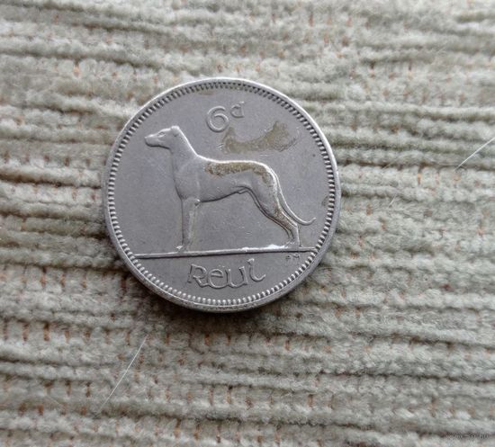 Werty71 Ирландия 6 пенсов 1962 ирландский волкодав