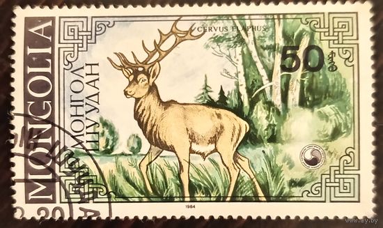 Монголия 1984. Лесной олень. Cervus Elaphus. Марка из серии