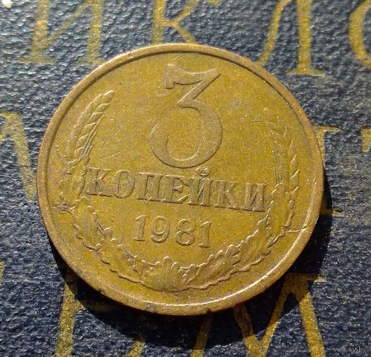 3 копейки 1981 СССР #16