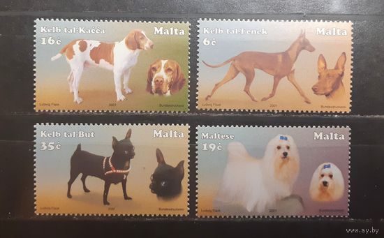 Мальта. 2001 год. Фауна. Собаки (809)
