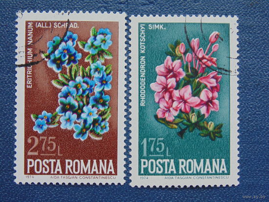 Румыния 1974 г. Цветы.