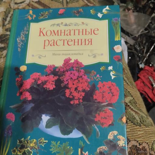 Комнатные растения.  Мини-энциклопедия.