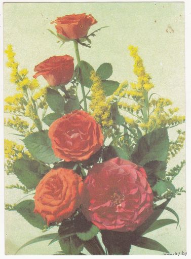Открытка 1990 (22)