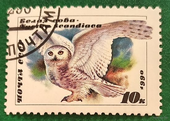 СССР 1990. Белая сова