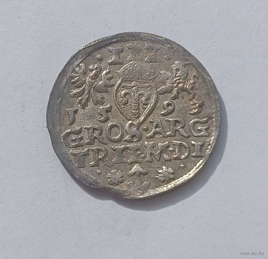 Вiльня i Ваза! Трояк 1593. Красивый