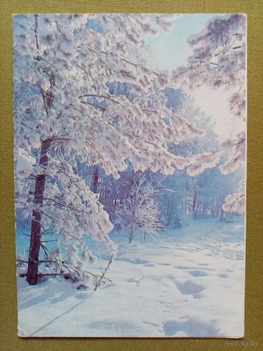 Дейкин 1982 С Новым годом! двойная чистая