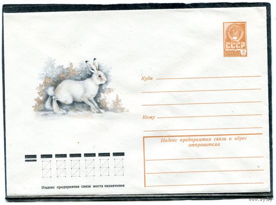СССР 1979. ХМК. Конверт. Фауна. Заяц беляк