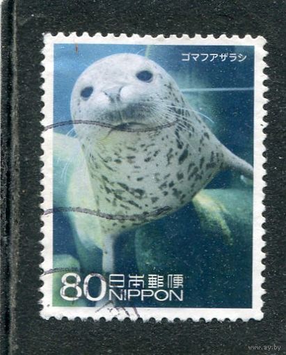 Япония. Фауна. Ларга, пестрая нерпа