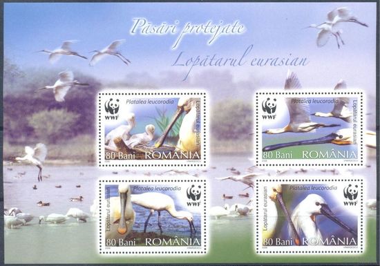 Румыния 2006 Фауна. WWF. Птицы, блок   MNH