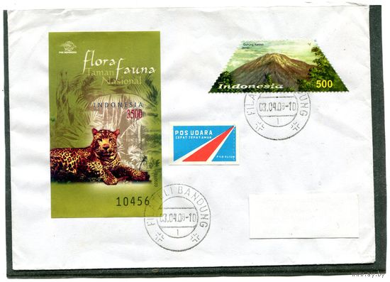 Индонезия. Конверт прошедший почту. Фауна. Гашение Бандунг 2008