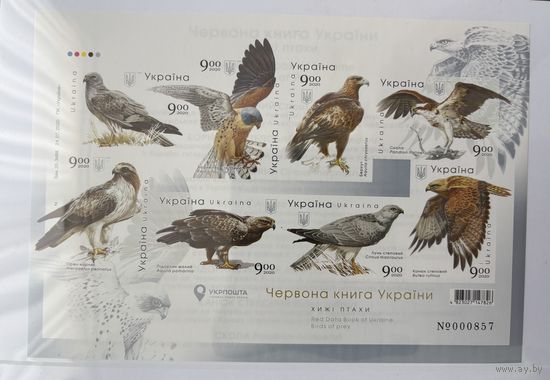 Украина 2020 Красная книга. Фауна. Хищные птицы. Блок беззубцовый