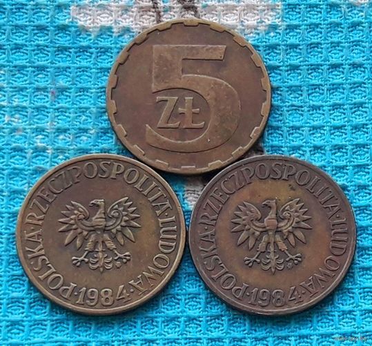 Польша 5 злотых 1984 года, AU. Малый орел.