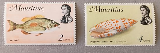 Рыбы, ракушки. Маврикий, 1969