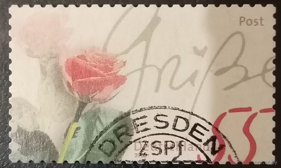 Германия 2006. Роза