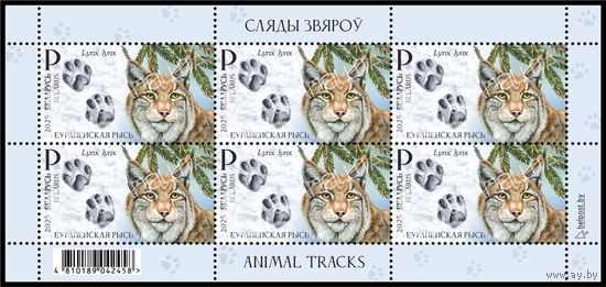 2025 БЕЛАРУСЬ Малый лист "Следы зверей" MNH