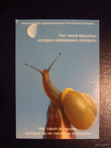 Календарик 2009 г. Нет такой вершины, которую невозможно покорить.