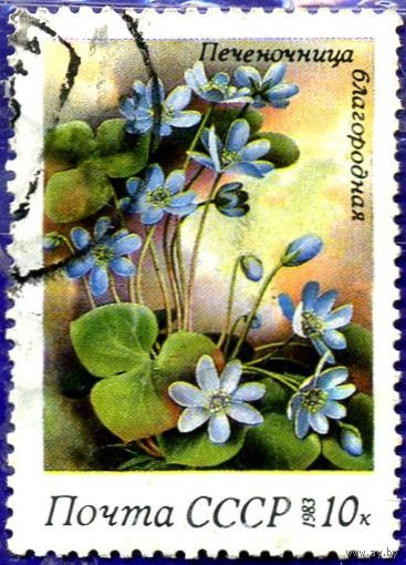 Марка СССР 1983 г. , гаш. Серия "Весенние цветы". Печеночница благородная.