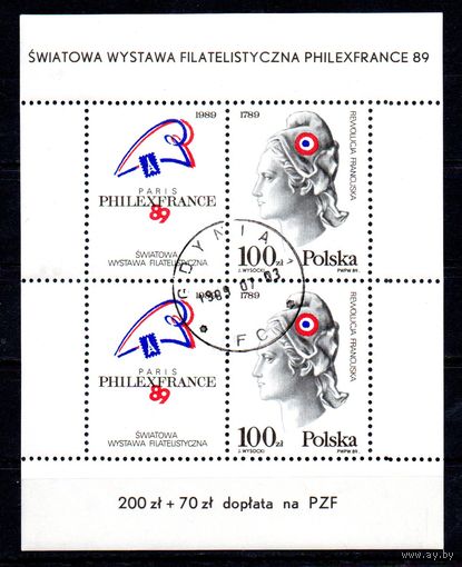 Международная филателистическая выставка  Польша 1989 год 1 малый лист
