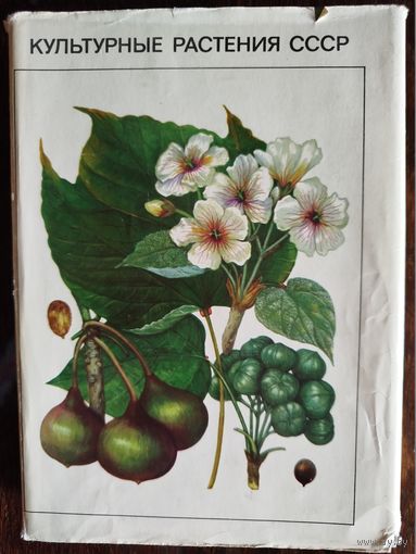 Культурные растения СССР