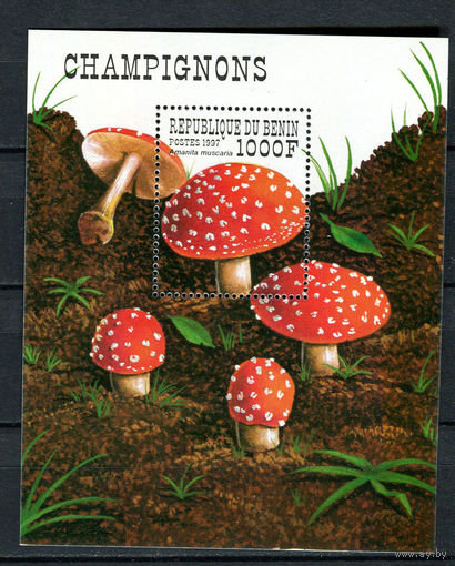 Бенин - 1997 - Грибы - [Mi. bl. 35] - 1 блок. MNH.  (Лот 87Db)