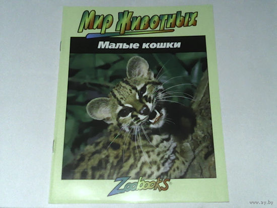 000167/МАЛЫЕ КОШКИ