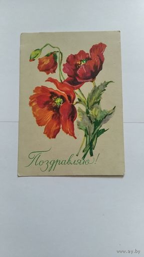 Открытка