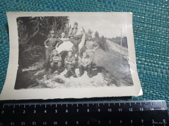 Фотография. Солдаты Советской Армии в Белоруссии. 1957 год