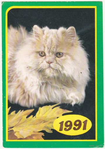 Календарик 1991 (172)