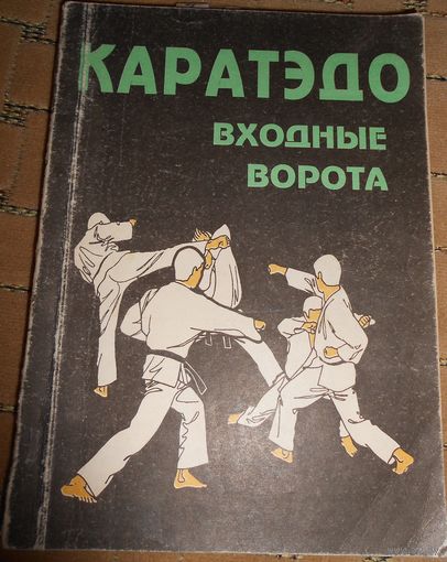 КАРАТЭДО Входные ворота. Найто Такэнобу. 1994г.