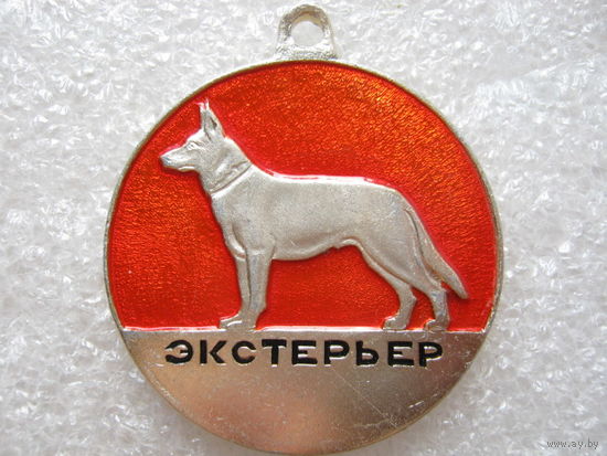 Экстерьер.