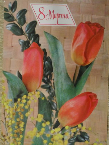 ПОДПИСАННАЯ ОТКРЫТКА СССР. ПРОШЕДШАЯ ПОЧТУ. "8 МАРТА". ФОТО. Б. КРУЦКО. 1980 год.